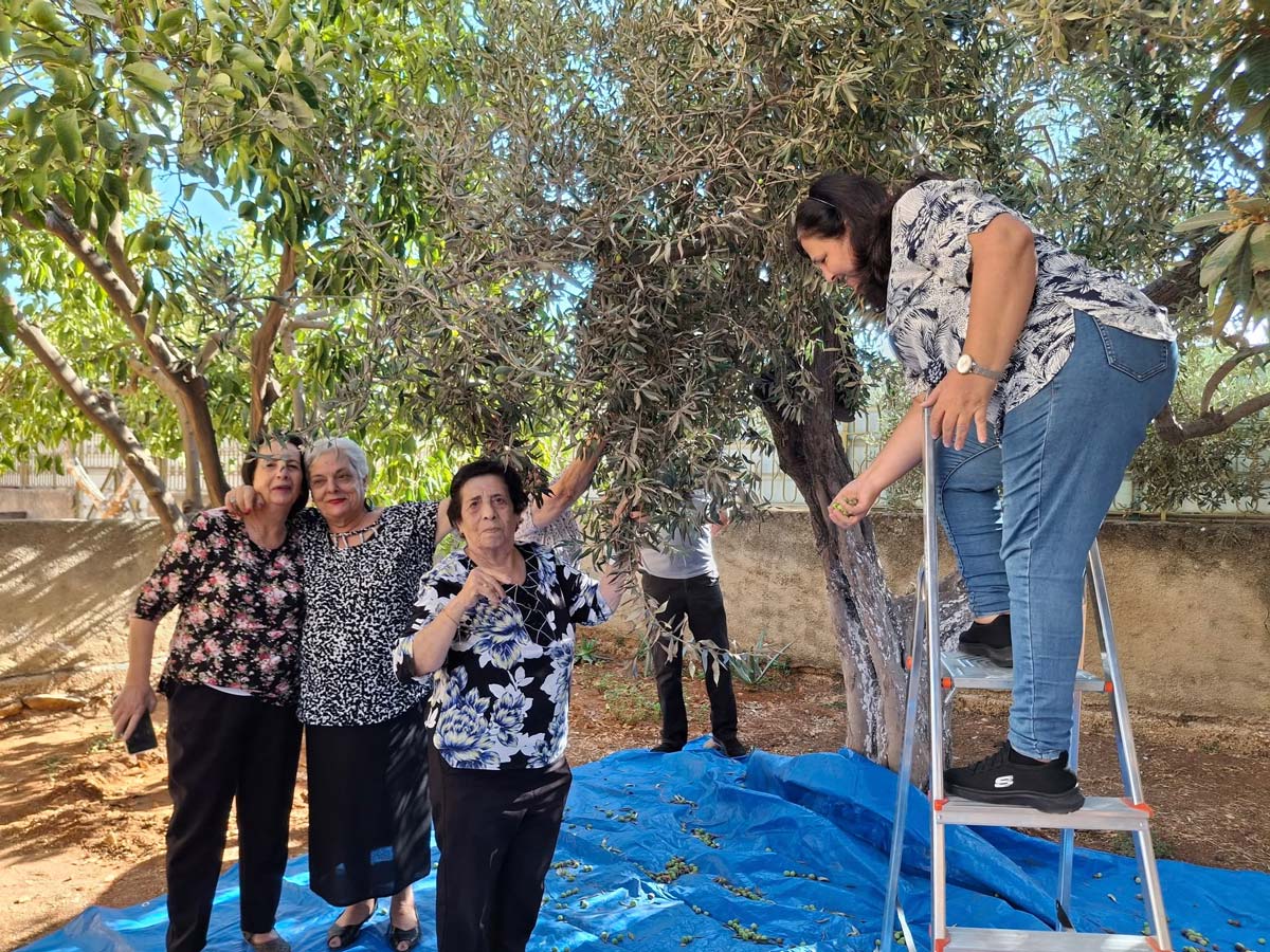 Olive Harvest Season at Saint Martha’s House: A Day of Joy, Tradition, and Togetherness